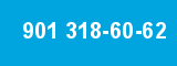 901 318-60-62